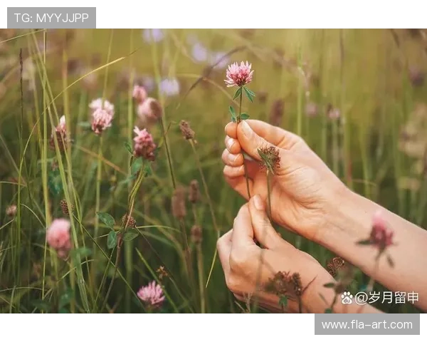 星野亚希：那一颗闪耀的种子，如何在时光中绽放？