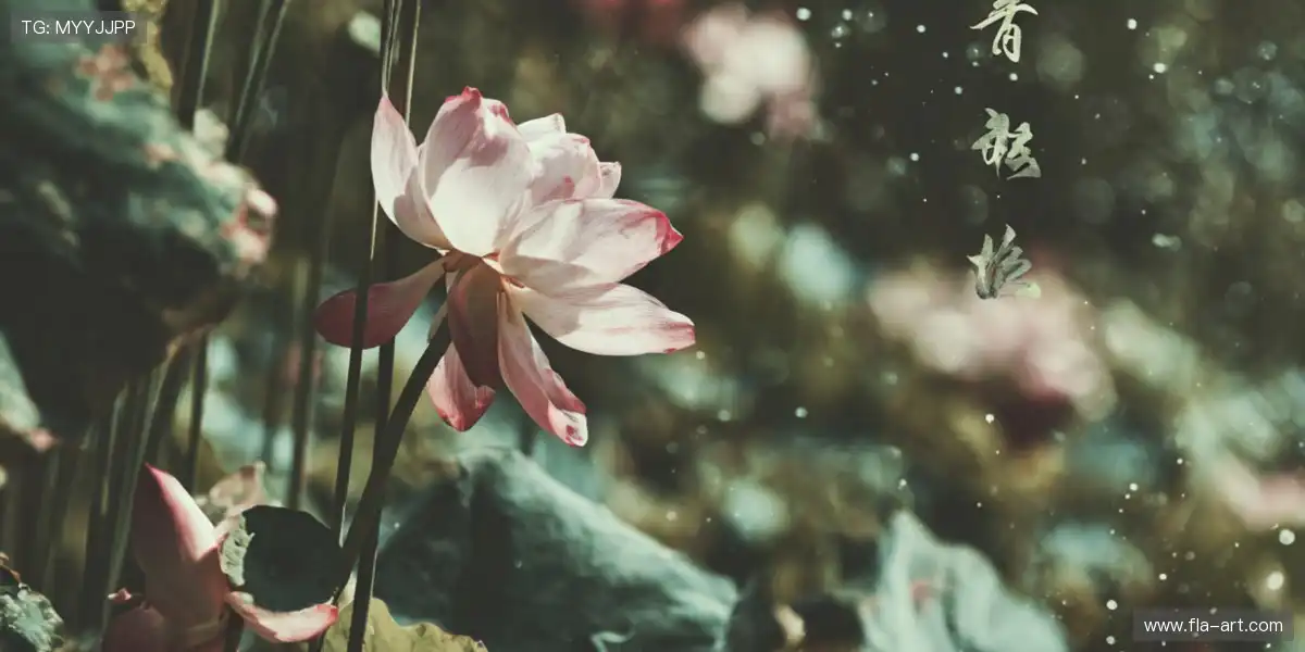 ❤️和千万用户一起畅享追剧乐趣,让好心情从一部视频开始!